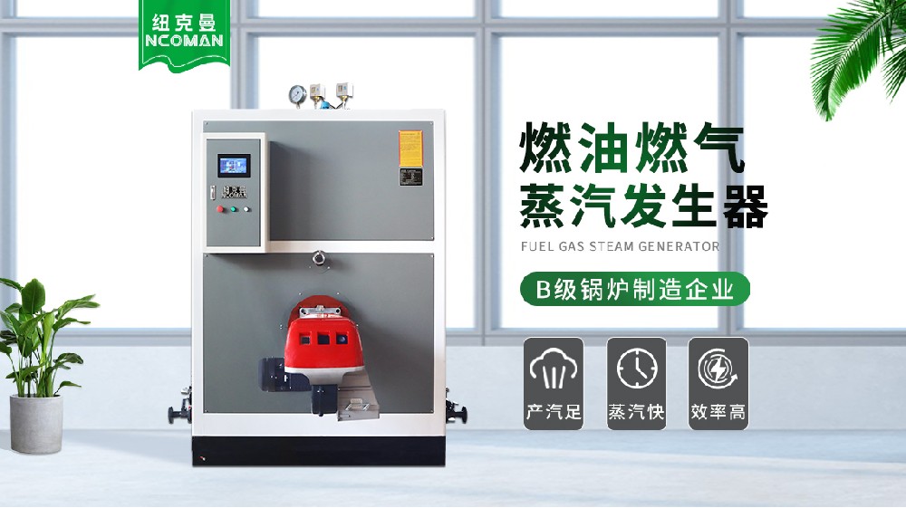 2024年值得信賴(lài)的蒸汽發(fā)生器十大品牌廠家名單